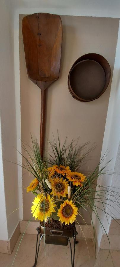 Agriturismo Il Colle シエーナ エクステリア 写真
