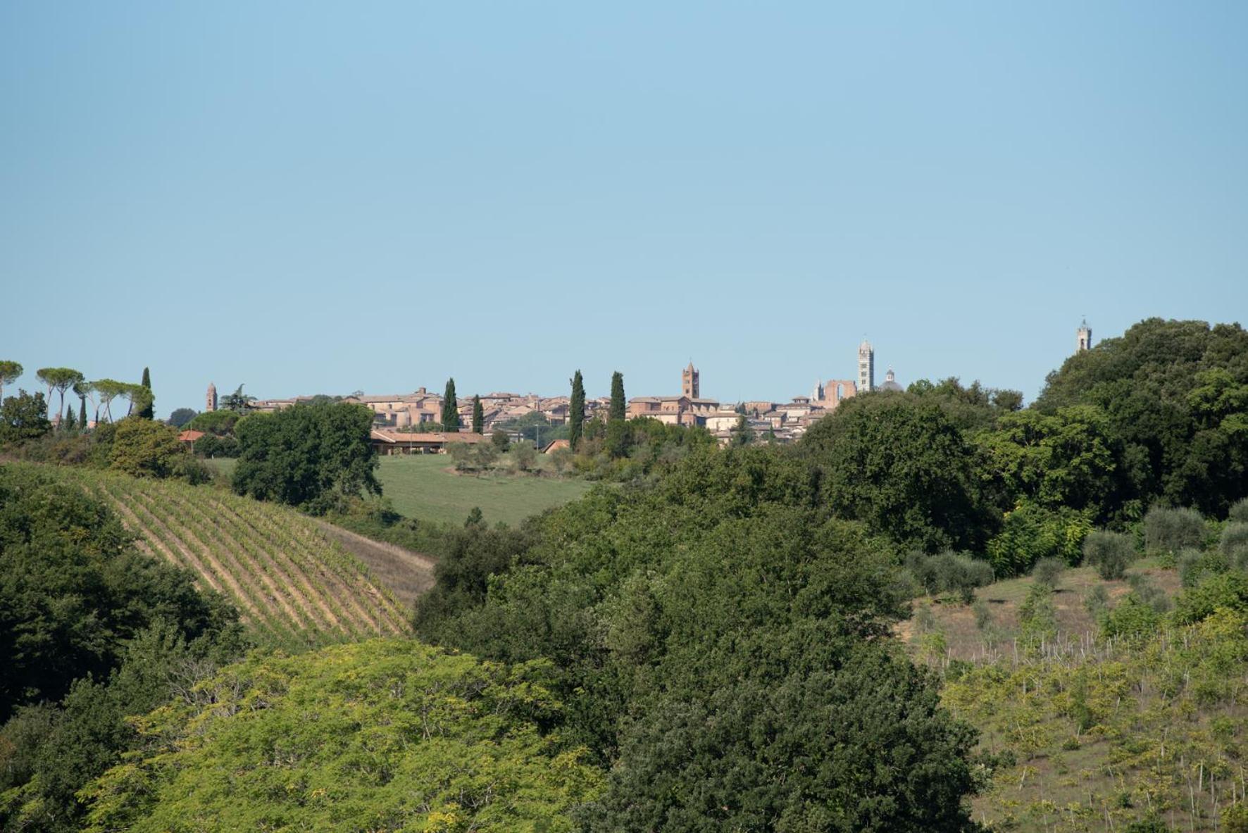 Agriturismo Il Colle シエーナ エクステリア 写真