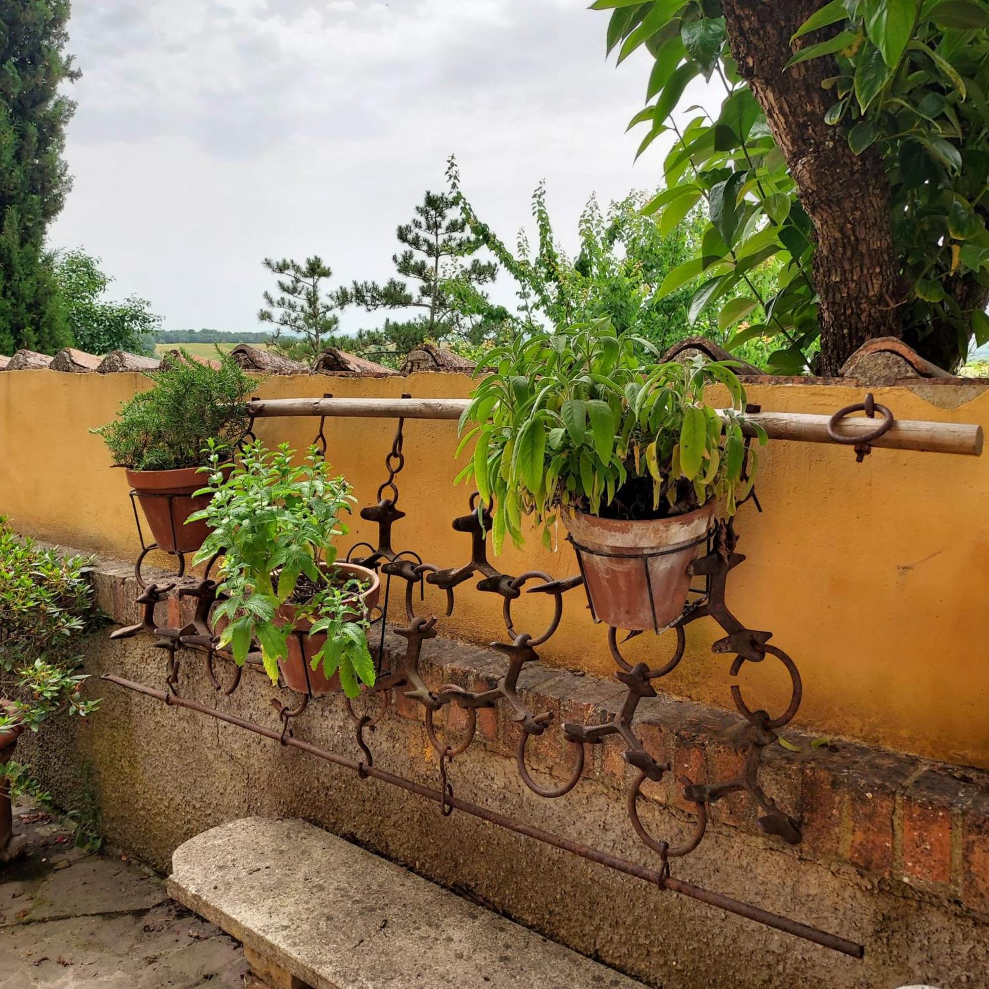 Agriturismo Il Colle シエーナ エクステリア 写真