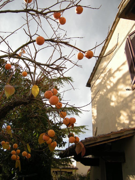 Agriturismo Il Colle シエーナ 部屋 写真