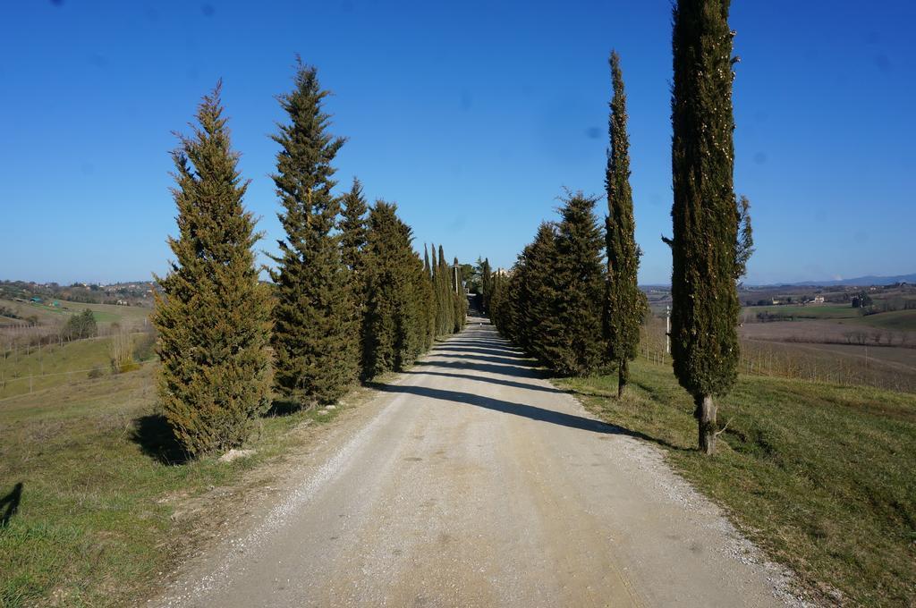 Agriturismo Il Colle シエーナ エクステリア 写真