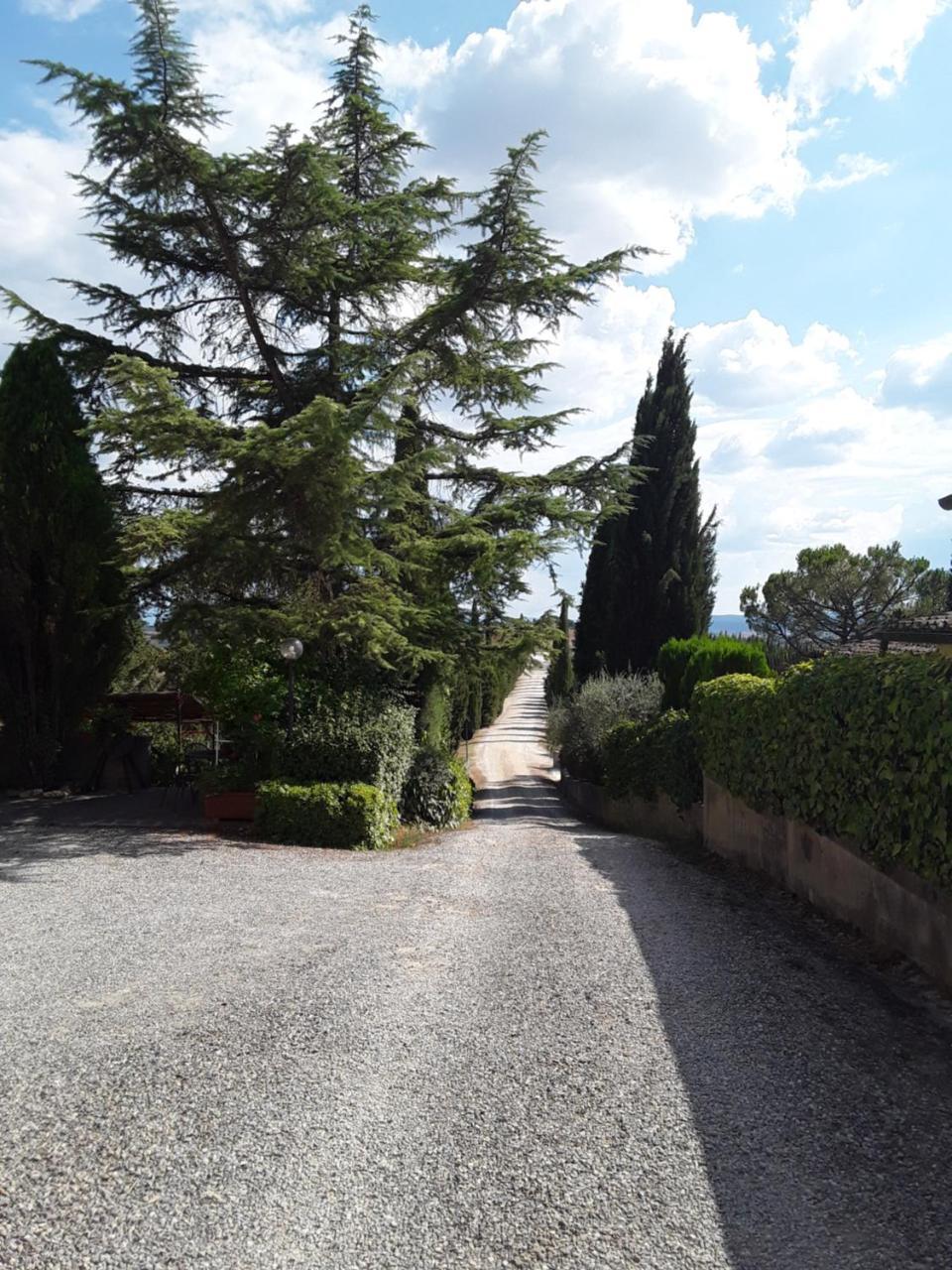 Agriturismo Il Colle シエーナ エクステリア 写真